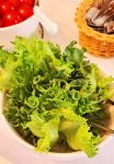 Raikkaat salaatinlehdet kuuluvat Kartanobrunssiin. Kuva: Leila Ylitalo